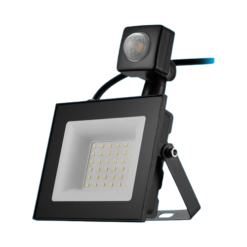 Switched 10W LED Flood Light with Automatic Motion Sensor (SWD-10016-10)